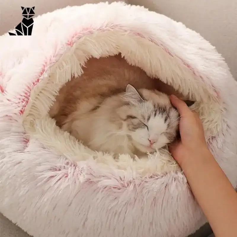 Lit Rond En Peluche Pour Un Sommeil Douillet De Votre Chat