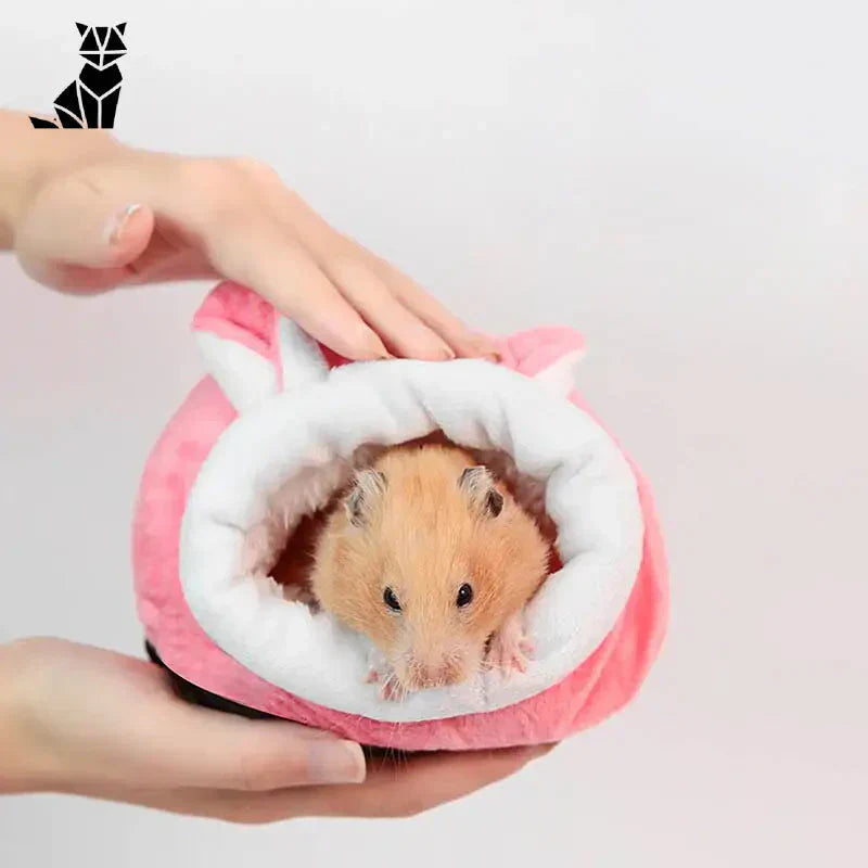 Personne tenant un hamster en tenue rose et blanche, Cozy Cotton House for Your Petit Companion