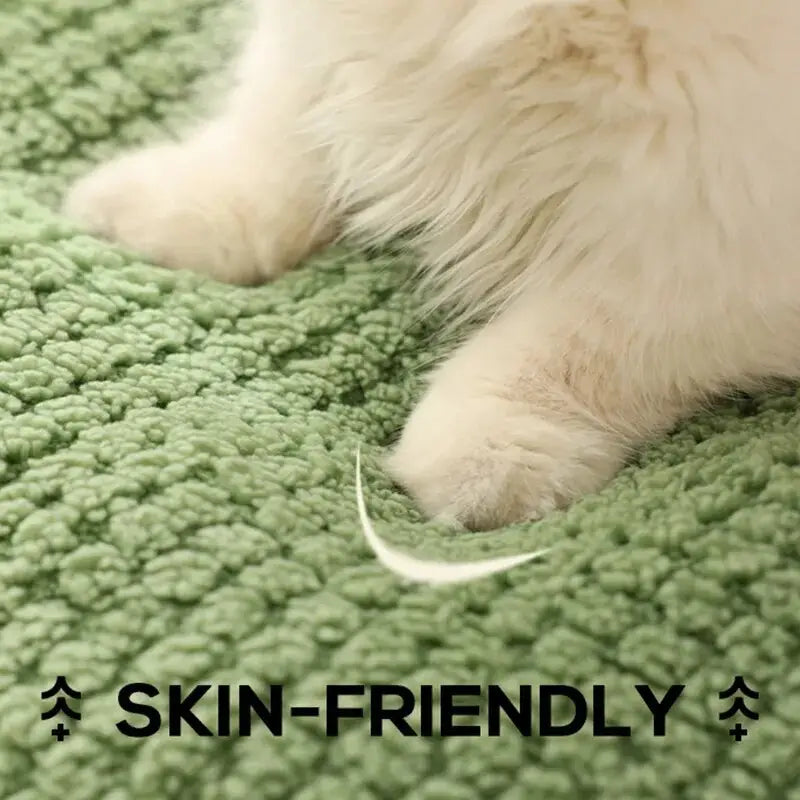 Un chat blanc couché sur un tapis vert dans un nid de peluches Cartoon Frog pour un sommeil profond