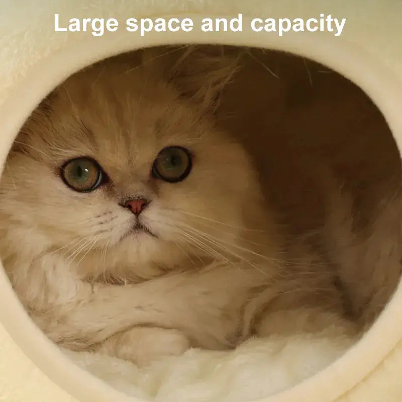 Le chat s’endort profondément dans un nid en peluche Cartoon Frog pour un confort absolu