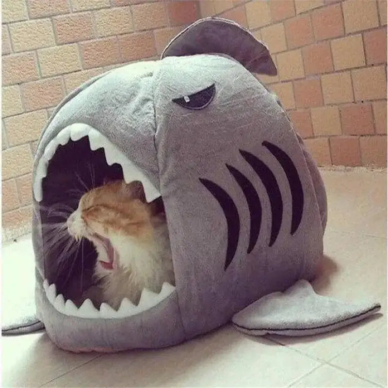 Panier Requin Pour Chat Dur à Cuire: Un Lit D’aventure!