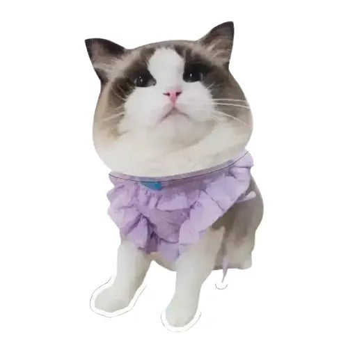 Œuvre d’art : Chat en robe violette sur un nuage - Portraits d’animaux uniques en acrylique Transparent Background