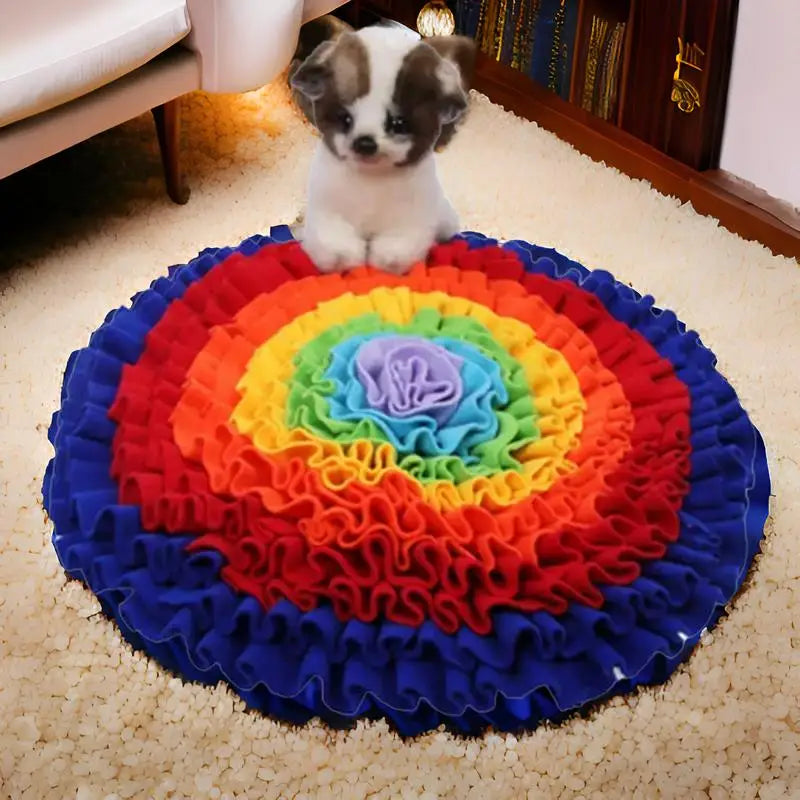 Petit chien assis sur un coussin arc-en-ciel - Tapis de sensibilisation à l’olfaction pour chiens - Recherche Alimentaire Tapis