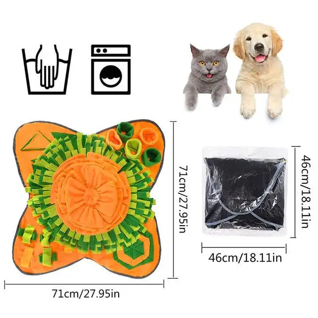Chat et chien jouant avec un jouet sur le tapis d’éveil olfactif pour chiens - Alimentaire Research