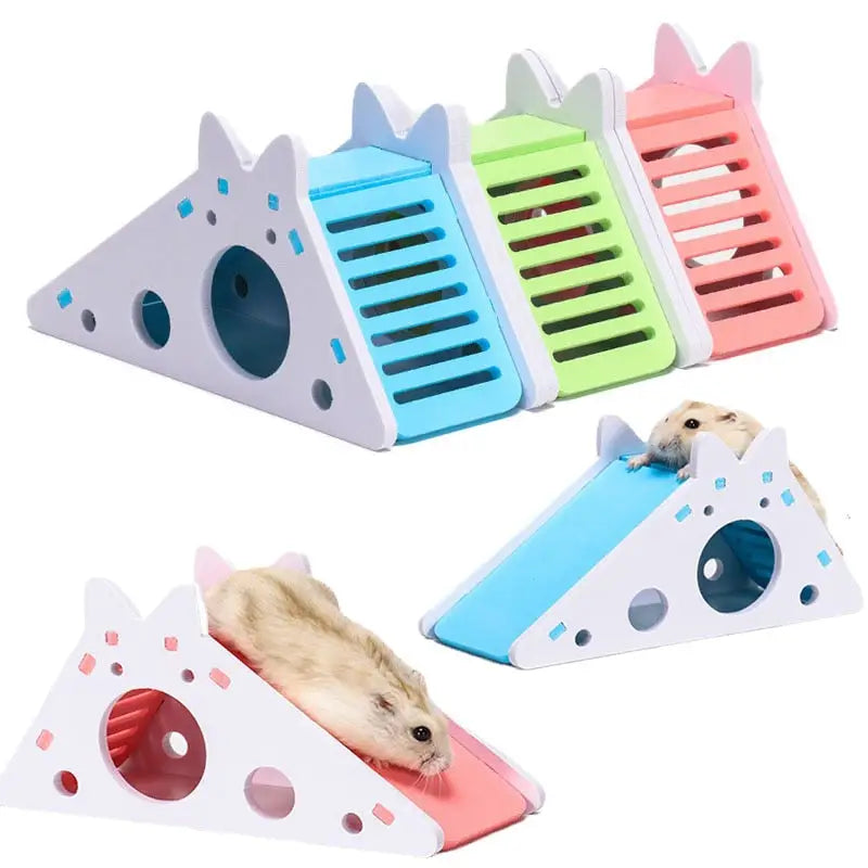 Jouets pour hamster de différentes couleurs sur une surface blanche - Toboggan pour Petit Compagnon en bois coloré